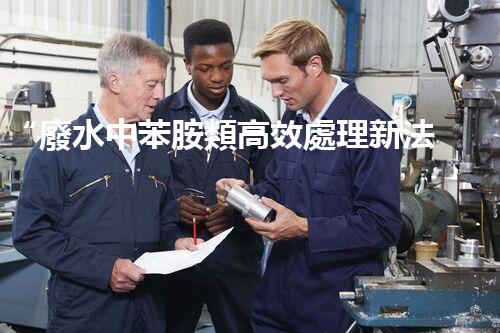 “廢水中苯胺類高效處理新法，環(huán)保先鋒引領綠色以后”